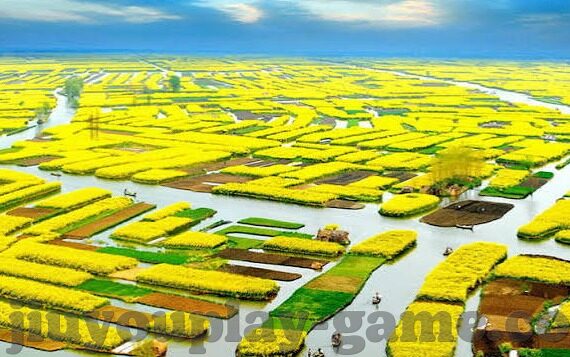 足球比分怎么回事-足球比分，赛场风云的数字密码，究竟怎么回事？